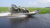 Best of the best airboat alligator tour.