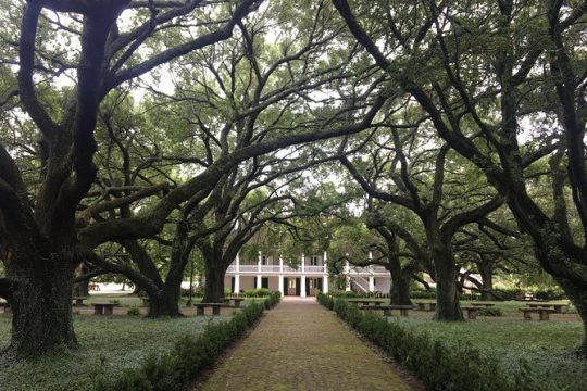 Whitney Plantation & Airboat Tours