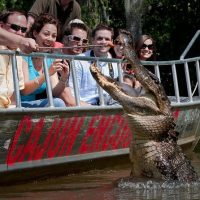 Eco Tours