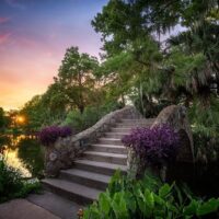 Private Sightseeing Tours