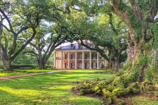 Oak Alley Plantation Tour with Transportation from New Orleans