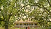 Great plantation tours handled by a true professional (Isabelle)