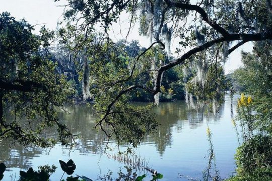 new orleans ghost and vampire tour photos A Walk in the Park: City Park New Orleans Audio Tour
