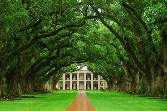 Oak Alley Plantation Tour from New Orleans