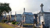 Fantastic Small Group Tour of NOLA