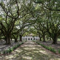 Day Trips & Excursions