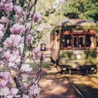 Shore Excursions
