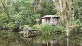 Best swamp tour in LA!