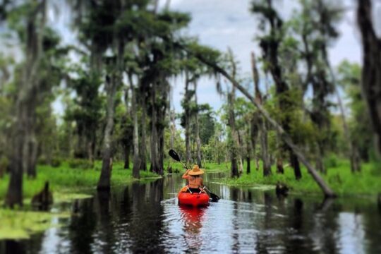 Manchac Swamp Kayak Small-Group Tour