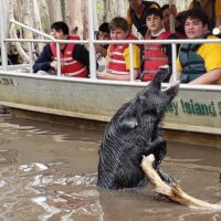 Private Sightseeing Tours