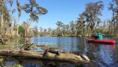 Unforgettable swamp kayak and Whitney plantation tour