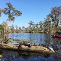 Kayaking & Canoeing