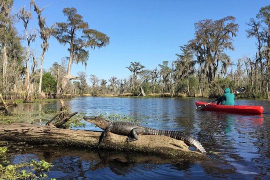 Whitney Plantation and Manchac Swamp Kayak Tour Combo