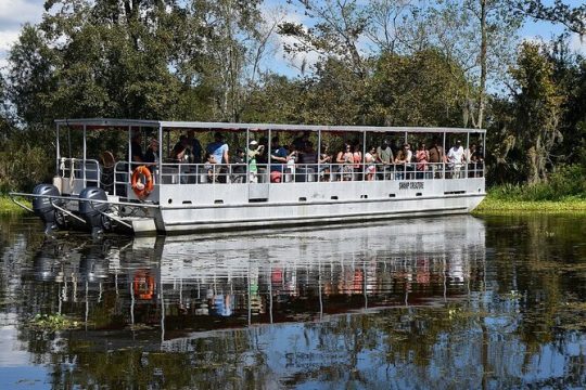 Guided Boat Tour of New Orleans Bayou and Wildlife