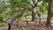 Must do bike tour of garden district & cemetery 