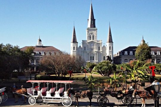 Private French Quarter Walking and City Surrounding Neighborhoods Driving Tour