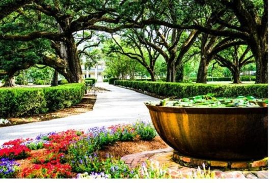 Garden District History and Homes Walking Tour