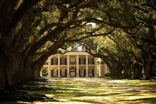 Oak Alley Plantation and Large Airboat Swamp Tour from New Orleans