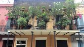 A must do in NOLA!