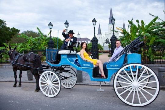 Private Carriage Tour of French Quarter in New Orleans