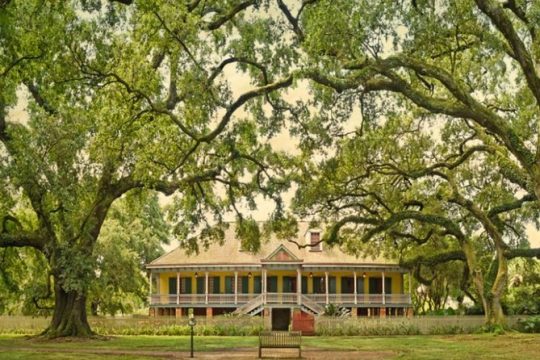 Small-Group Tour of Laura and St. Joseph Plantations from New Orleans