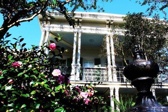 Garden District Walking Tour of New Orleans