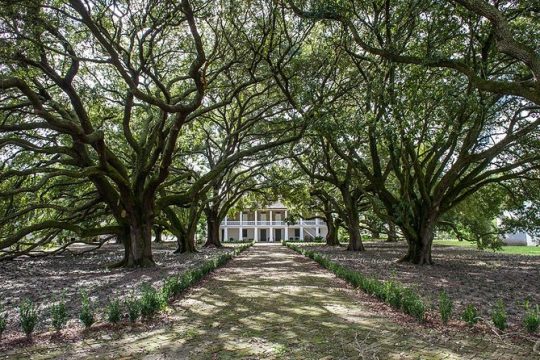 Whitney Plantation Tour