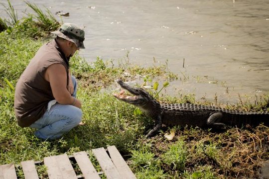 Ultimate Swamp Tour Experience with Transportation from New Orleans