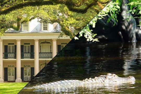 Full Day Oak Alley Plantation and Swamp Boat Tour from New Orleans