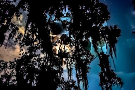 Dead of Night Ghosts and Cemetery Bus Tour