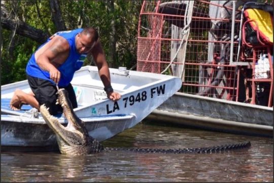 Private Bachelor or Bachelorette Airboat Swamp Tour in New Orleans