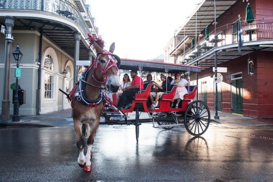 French Quarter & Marigny Neighborhood Carriage Ride