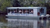 Best swamp tour 