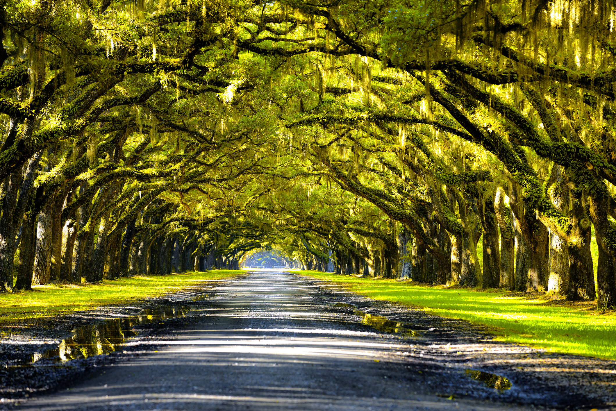 New Orleans’ Most Famous Plantation Tours (Updated December 2023)