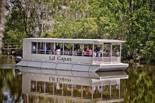Swamp and Bayou Sightseeing Boat Tour with Transportation from New Orleans