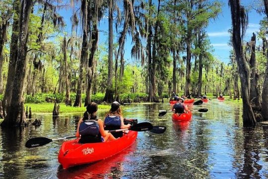 Manchac Swamp Kayak Small-Group Tour