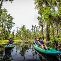 Kayaking & Canoeing