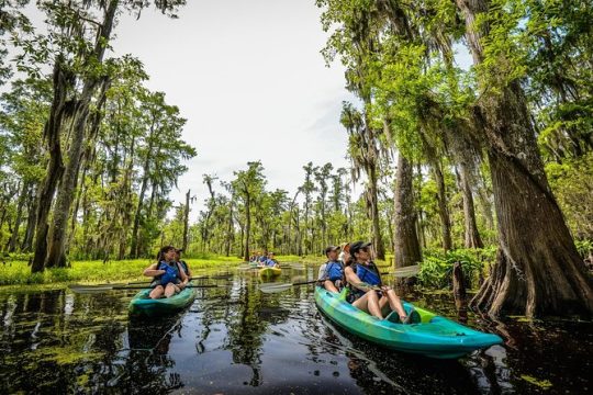 Small-Group Manchac Magic Kayak Swamp Tour with Local Guide