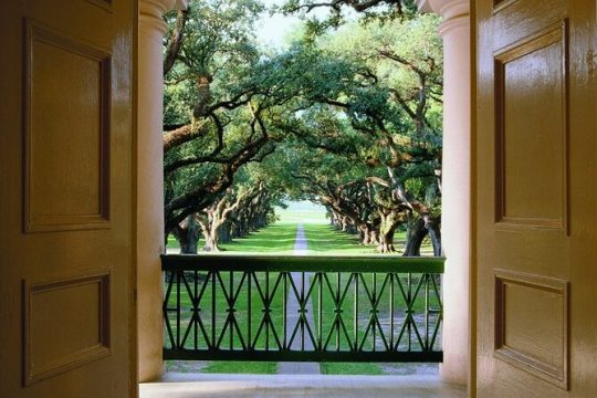 Half-Day Oak Alley Plantation Tour in Vacherie