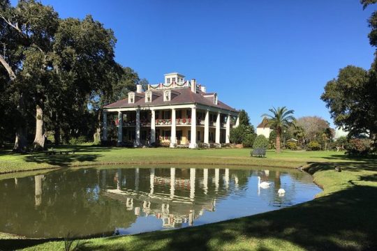 Small-Group Airboat and Plantations Tour with Gourmet Lunch from New Orleans