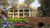 Great time on the three plantation tour!