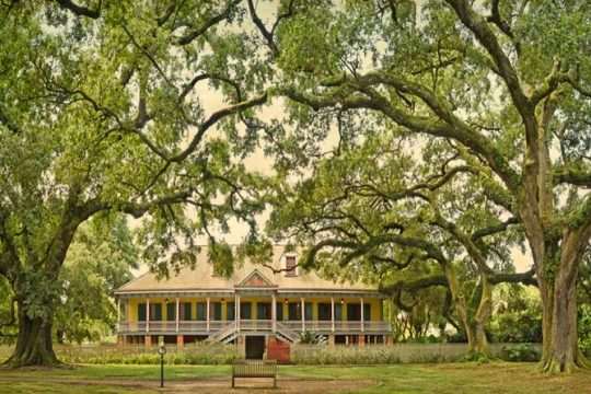 Guided Creole Laura Plantation Tour from New Orleans