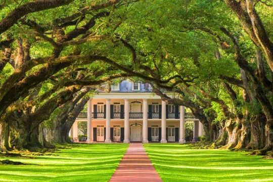 Small Airboat & Oak Alley Plantation Combo Guided Tour