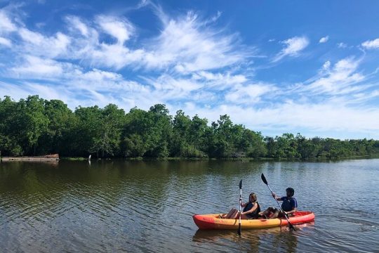 Self Guided Kayak Bayou Swamp Tour