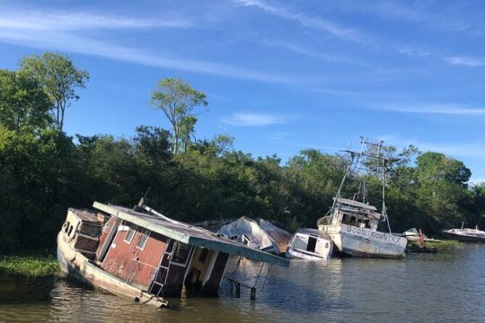 Self Guided Kayak Bayou Swamp Tour