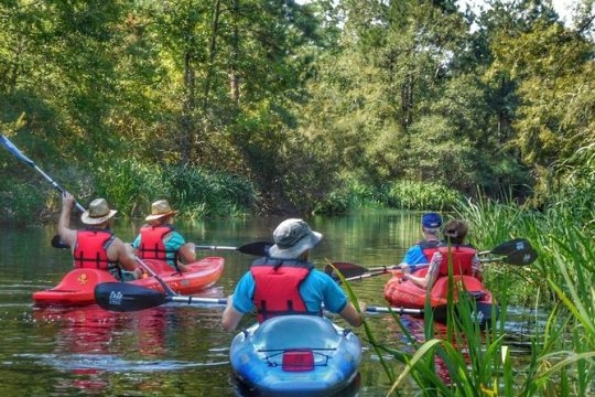 Kayak Swamp Tour with Transportation from New Orleans