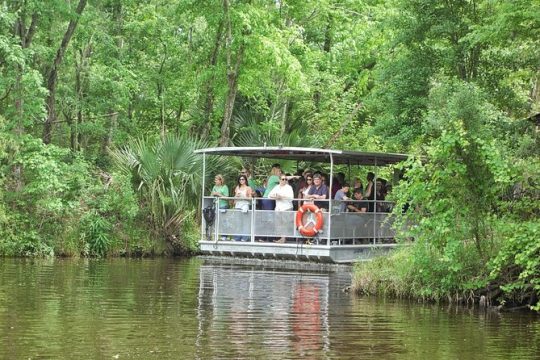 90-Minute Jean Lafitte Swamp and Bayou Tour with Transportation