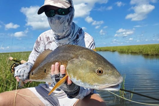 Catch Redfish in the Marsh from a SUP in New Orleans