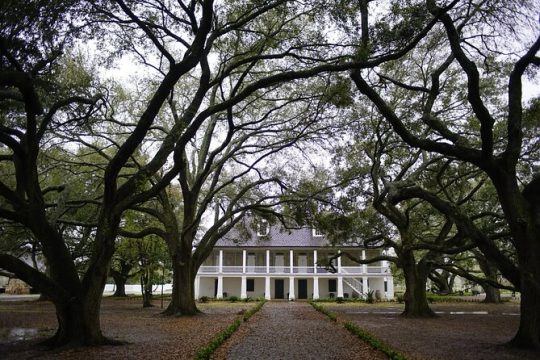Audio-Guided Whitney Plantation Tour with Transportation