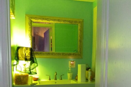 Private Tour Seance at the House on Bourbon